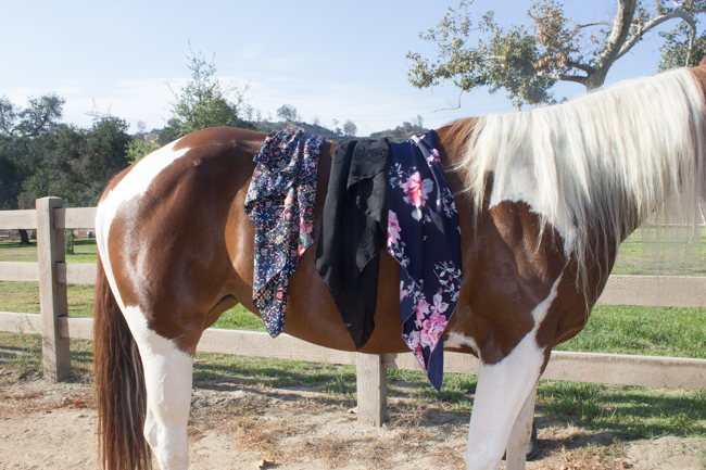 Horses & Heels x Whipin Wild Rags mini series collection