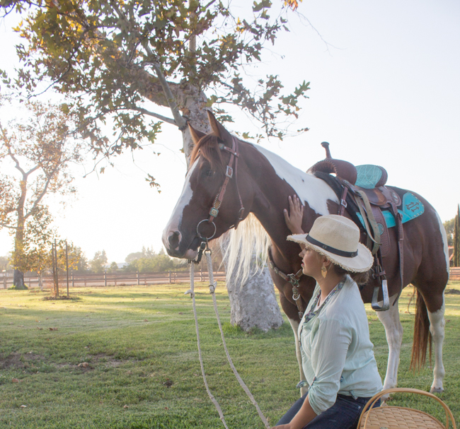 HH Indys Nu Daisy, registered Paint mare