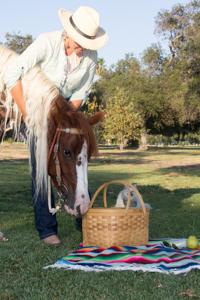 Fira and picnic basket