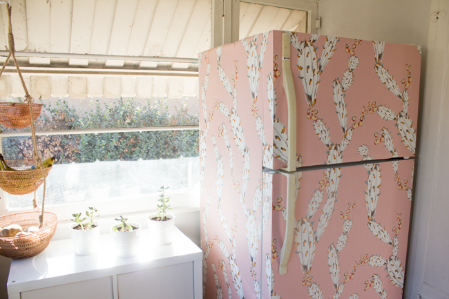 pink cactus wallpaper fridge