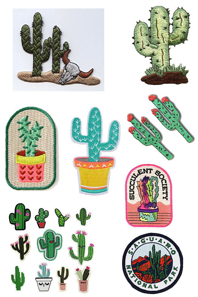 cactus patches