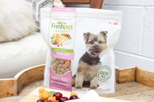 Freshpet dog food for small breeds