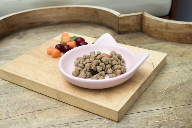 Freshpet dog food for small breeds