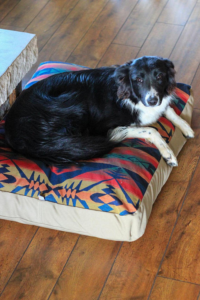 Southwest dog bed