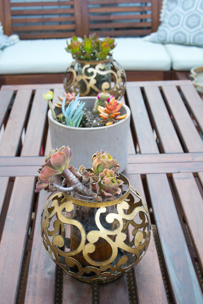 succulents on the table and plants inside candle holders