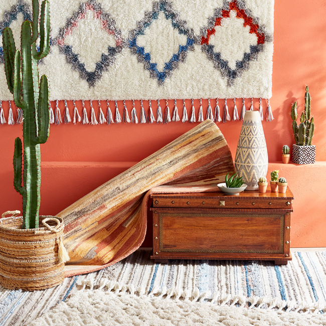 tall cactus plant and southwest decor