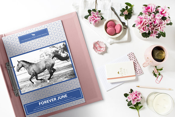 Printable Pony horse records printable pack
